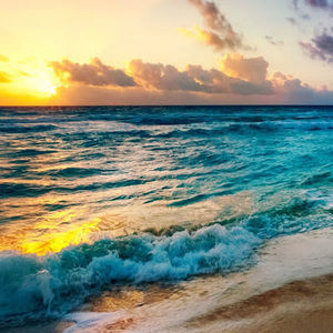 Meet your Posher, Nicholas